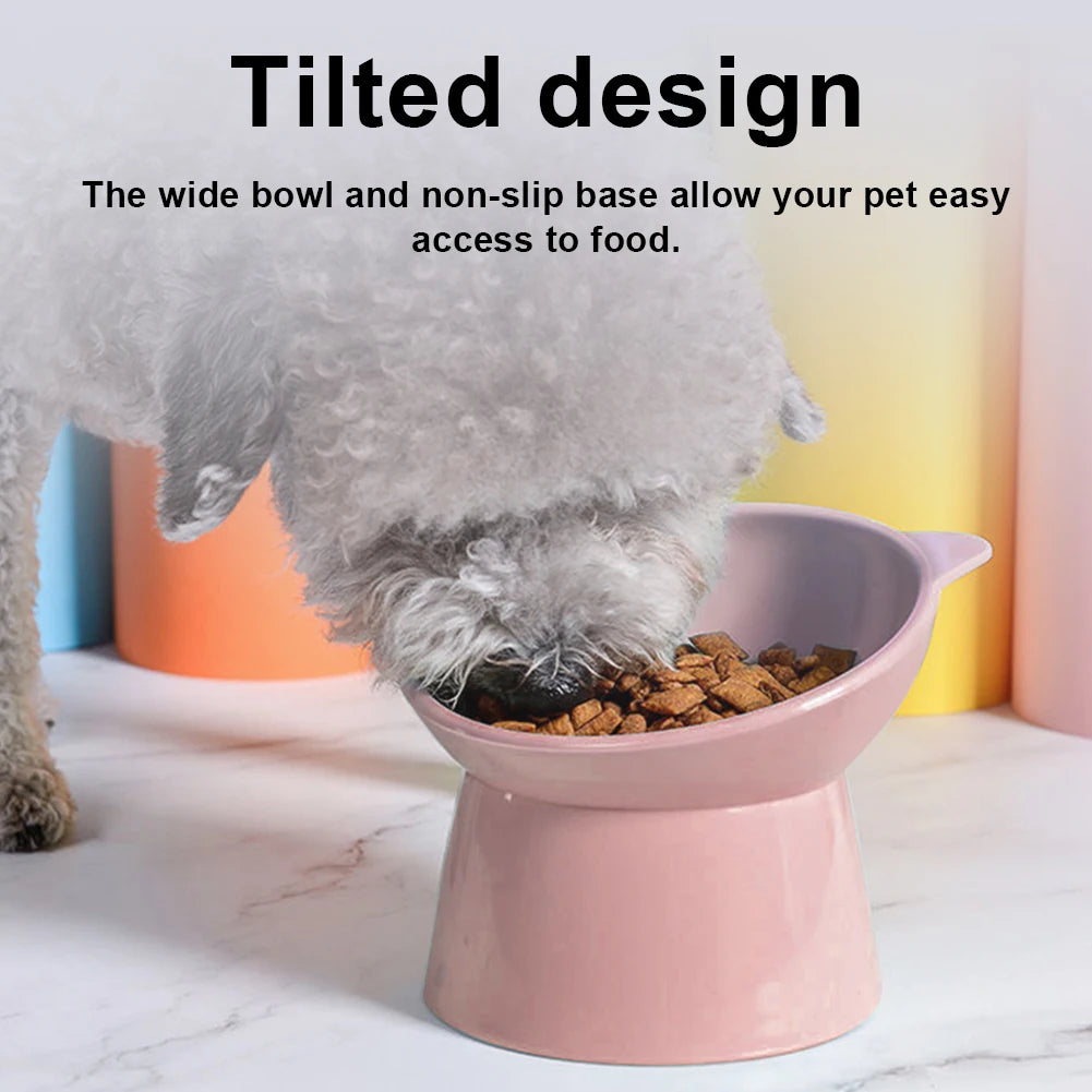 HealthyPaws Dish