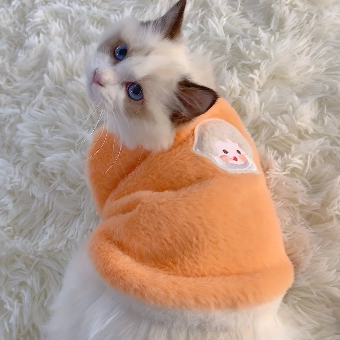 CozyWhiskers Wear