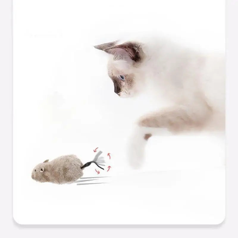 MeowMouse Toy
