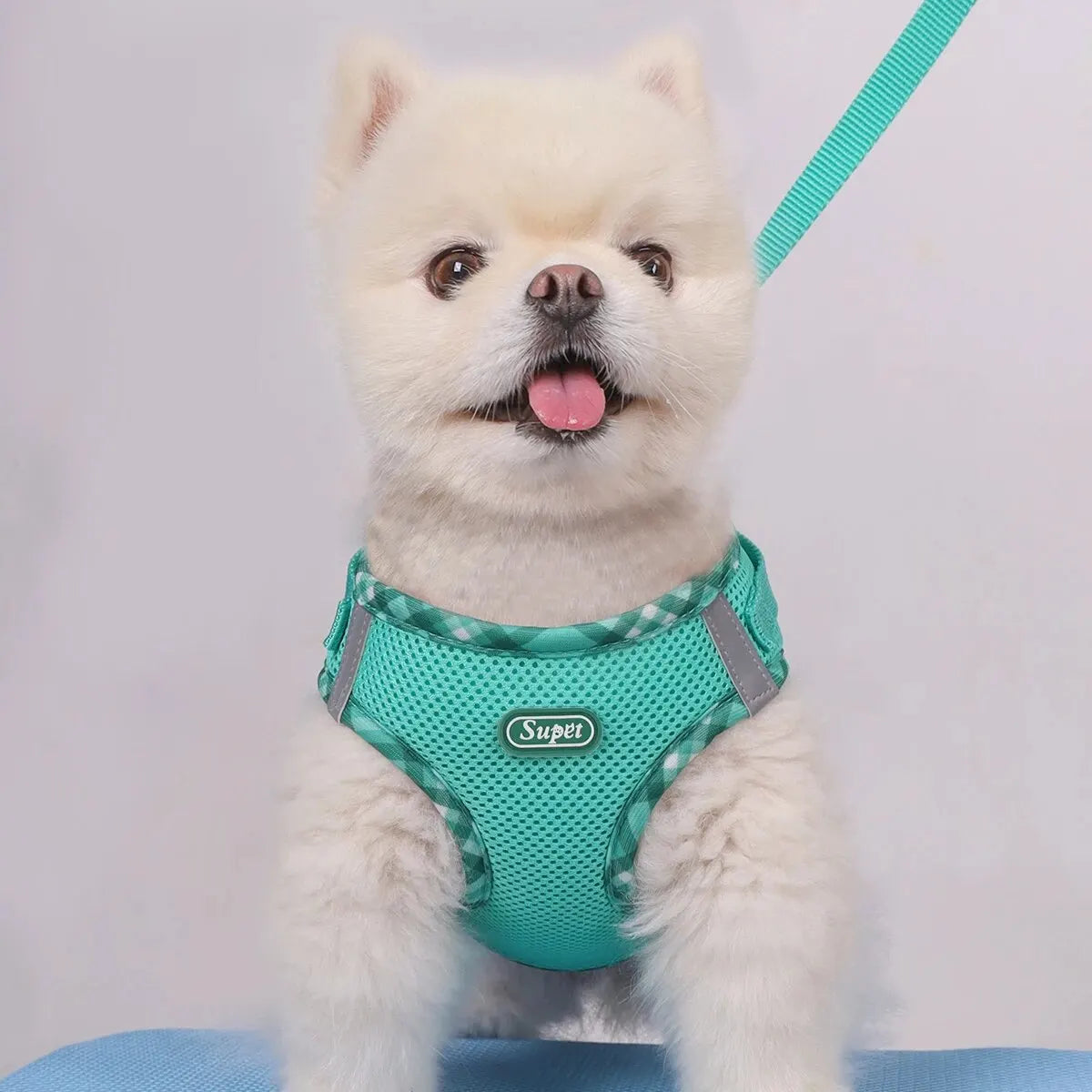 PawSecure Harness