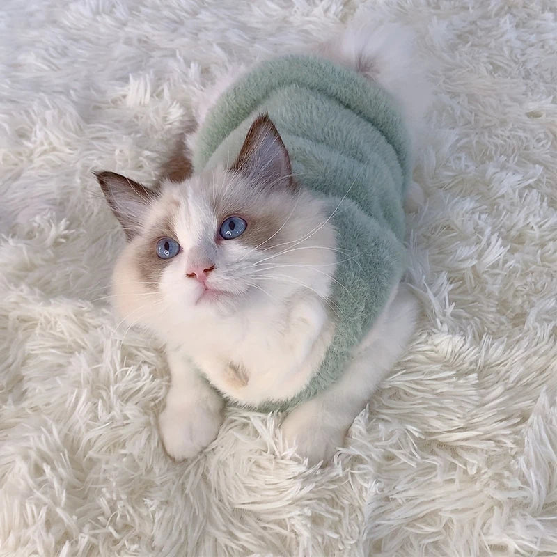 CozyWhiskers Wear
