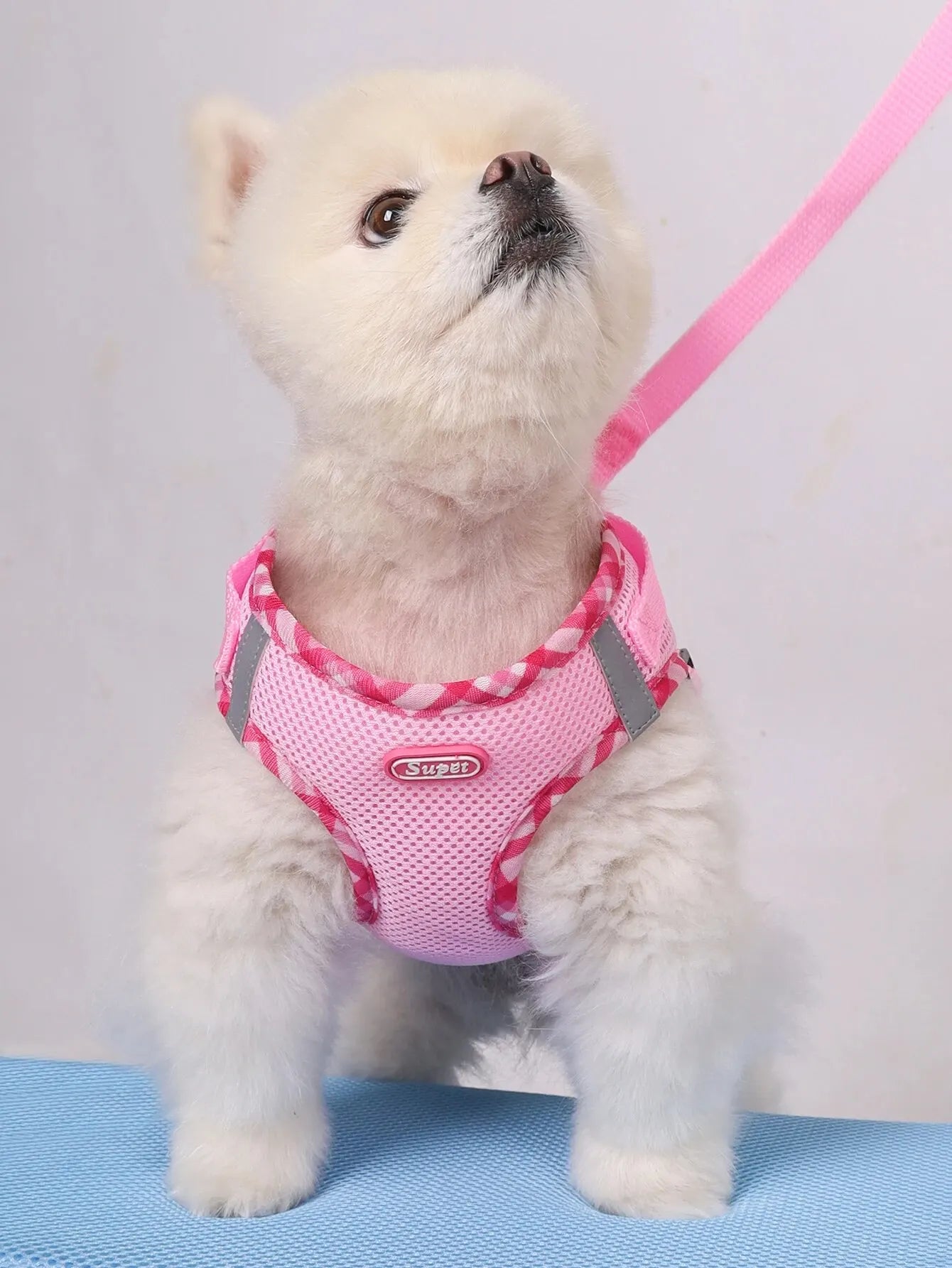 PawSecure Harness