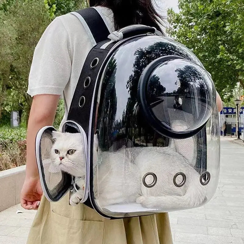 Pet  Carrying Bag
