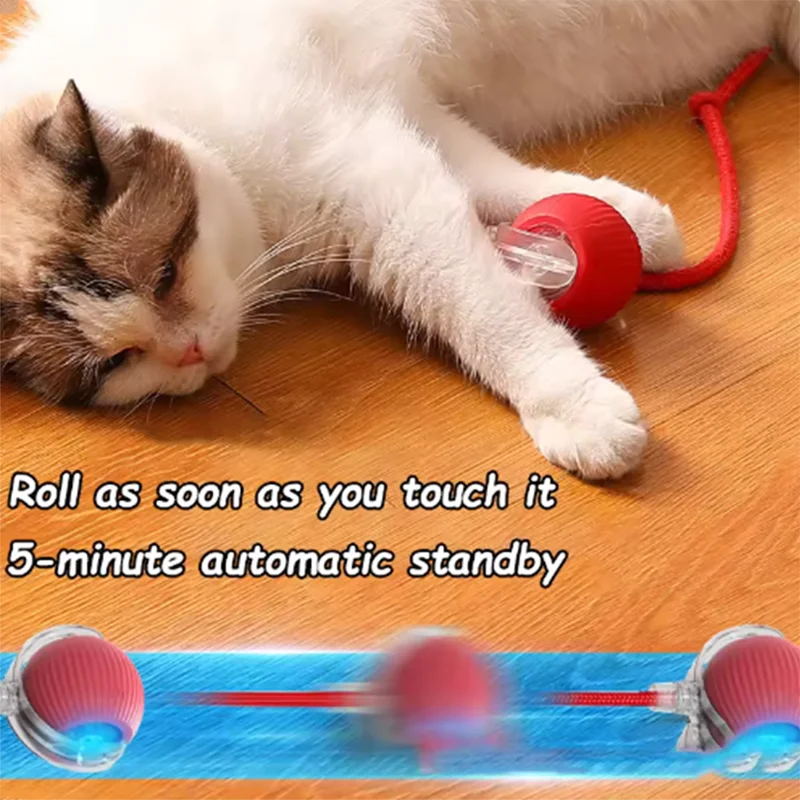 AutoPlay Cat Toy Ball
