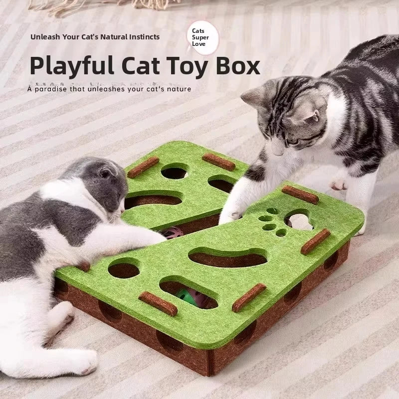 PawPlay Cat Puzzle Box