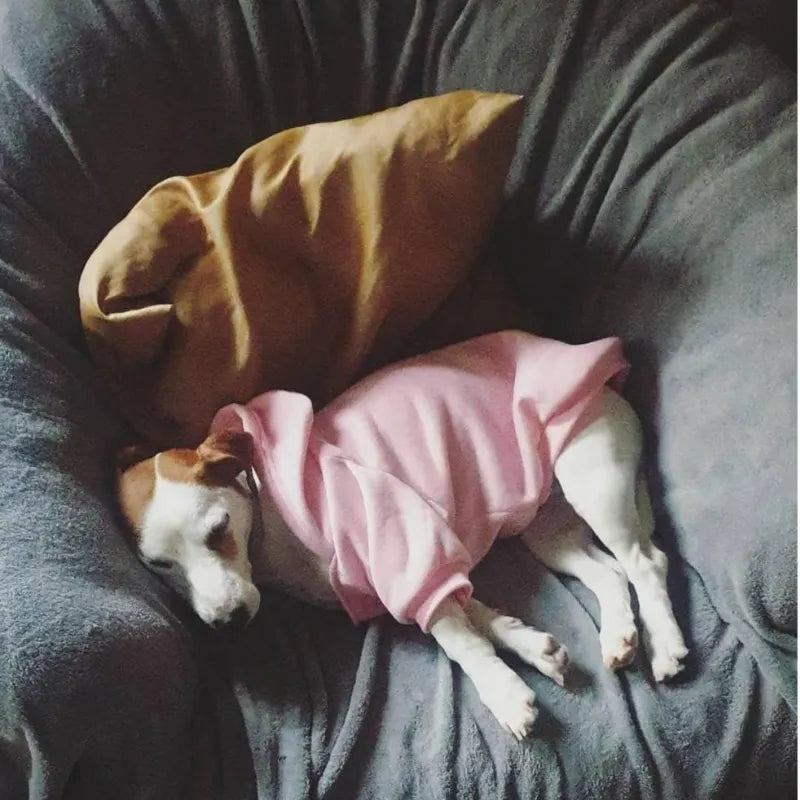 CozyPaw Dog Sweatshirt Coat