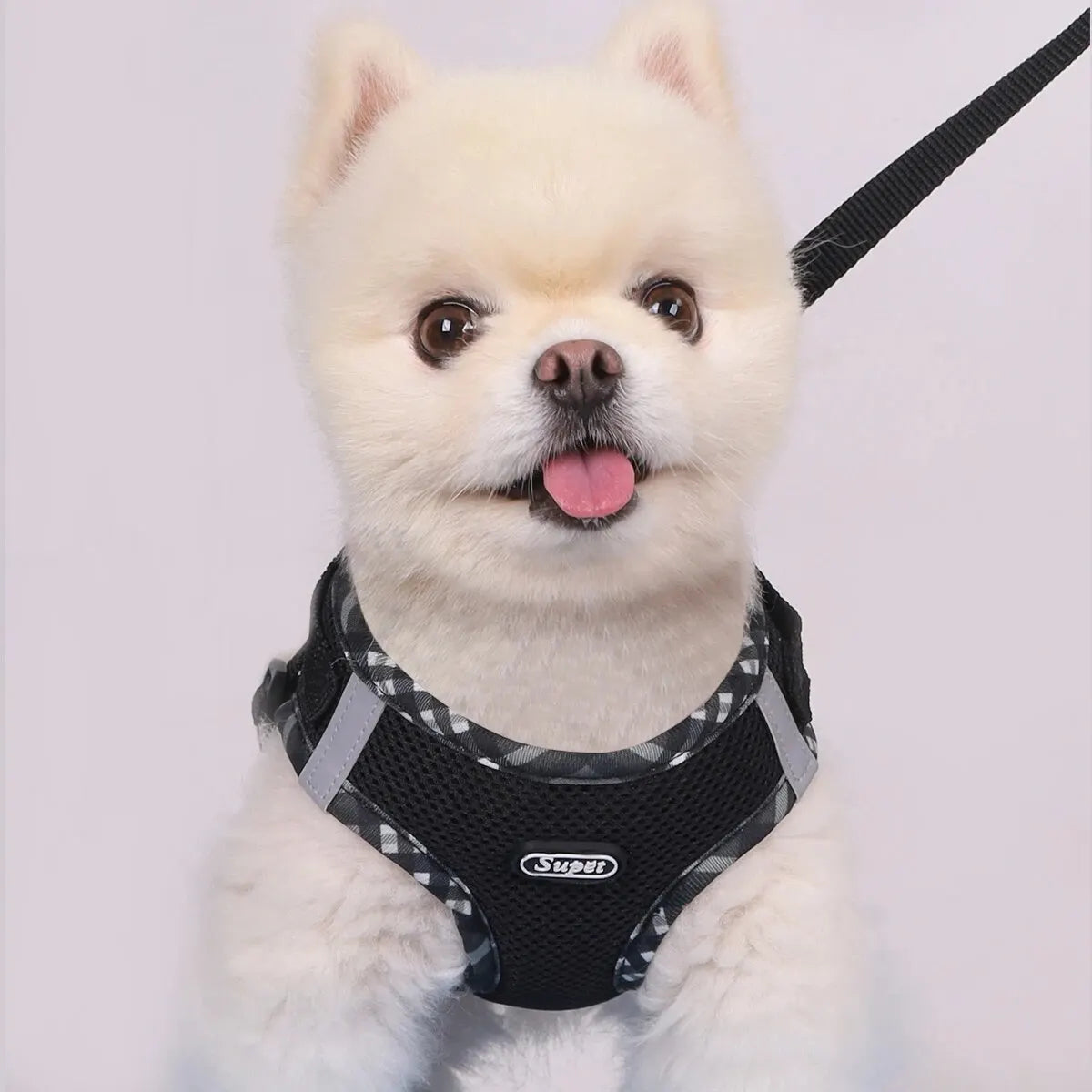 PawSecure Harness