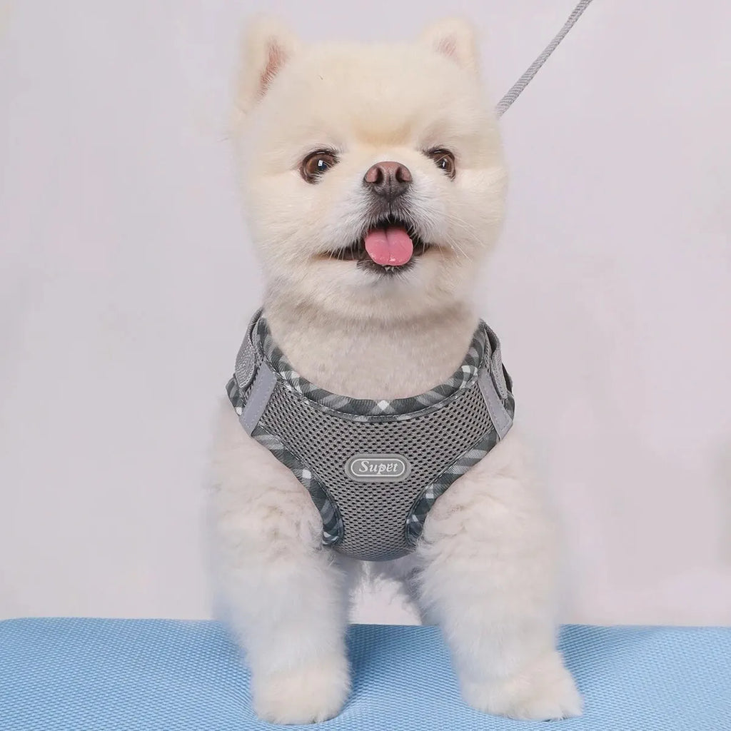 PawSecure Harness