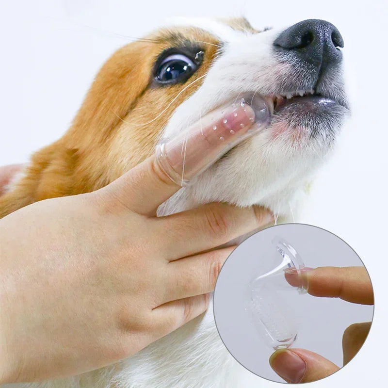 Pets Finger Brush