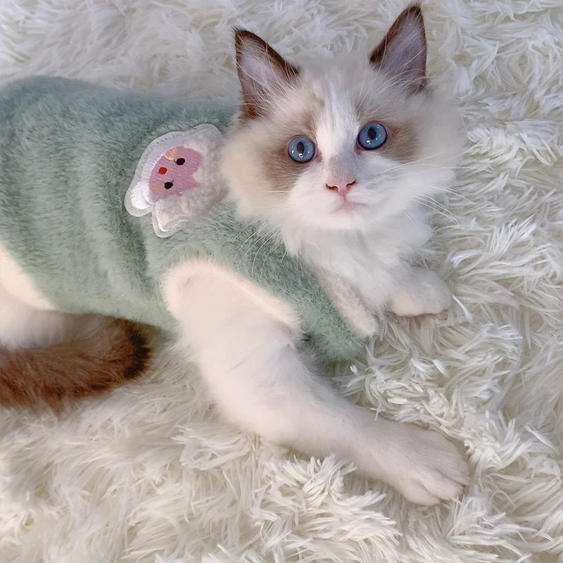 CozyWhiskers Wear
