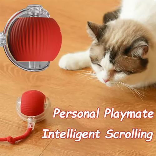 AutoPlay Cat Toy Ball