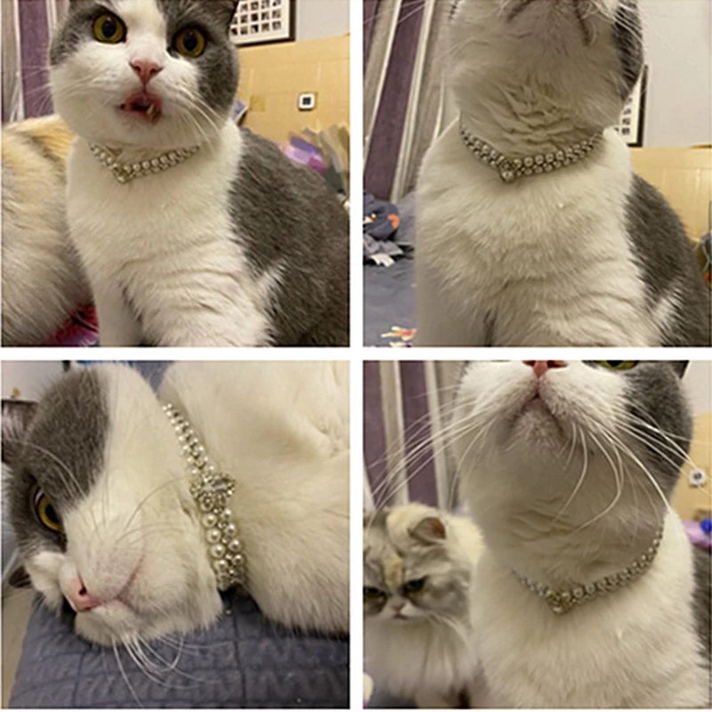 RoyalPaws Pearl Collar