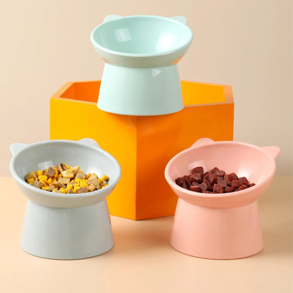 HealthyPaws Dish