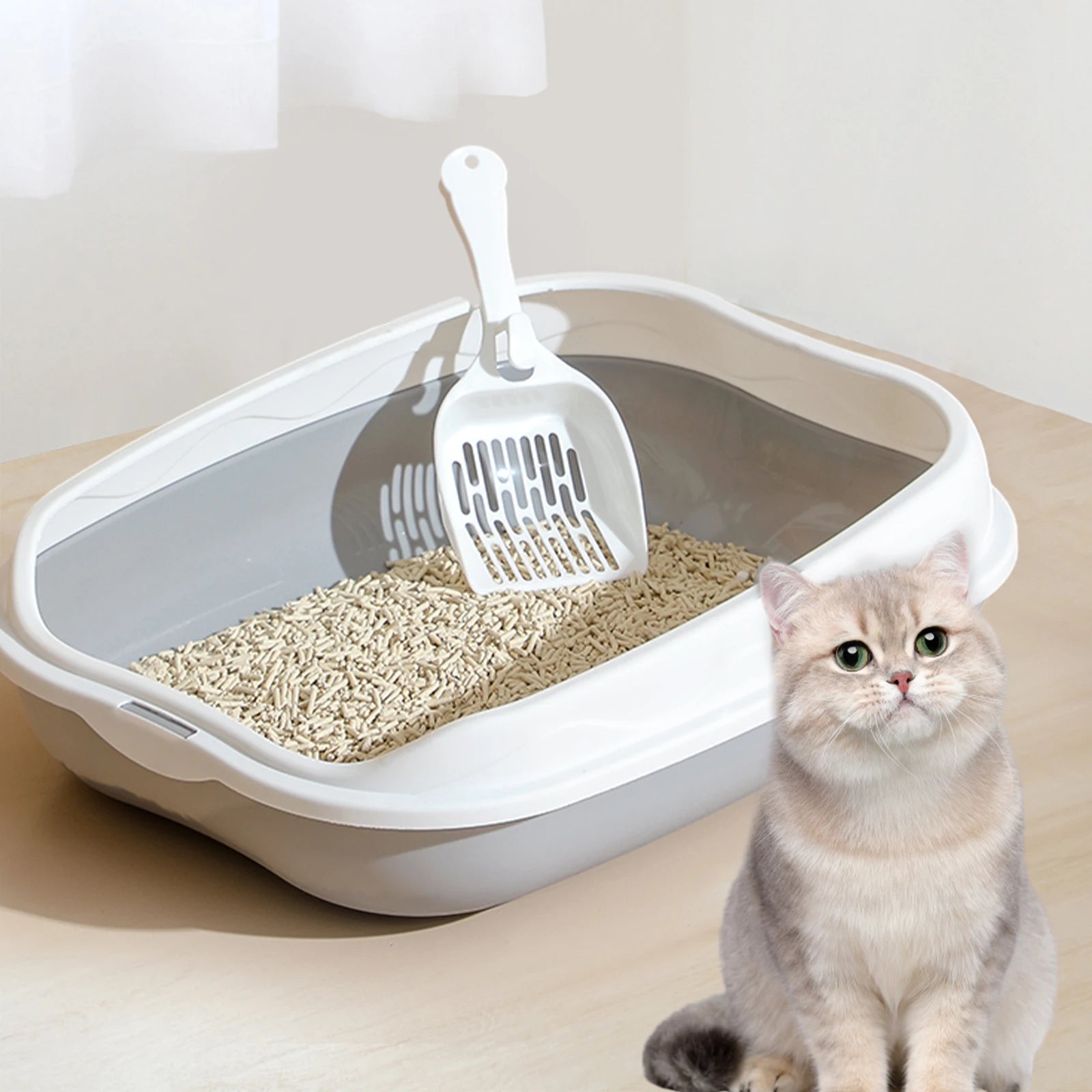 Comfy Cat Litter Box